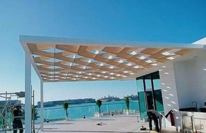 صورة إضافية