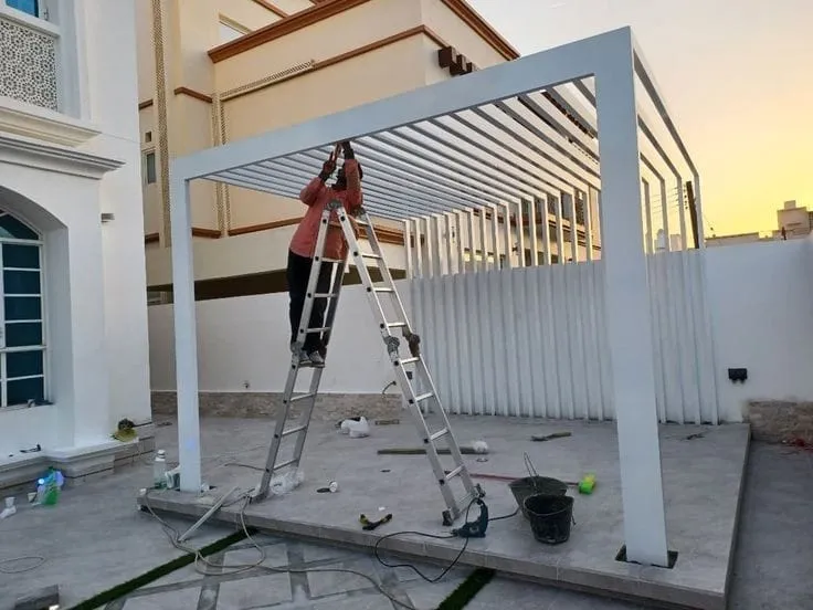 صورة إضافية