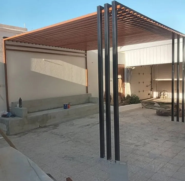 صورة إضافية