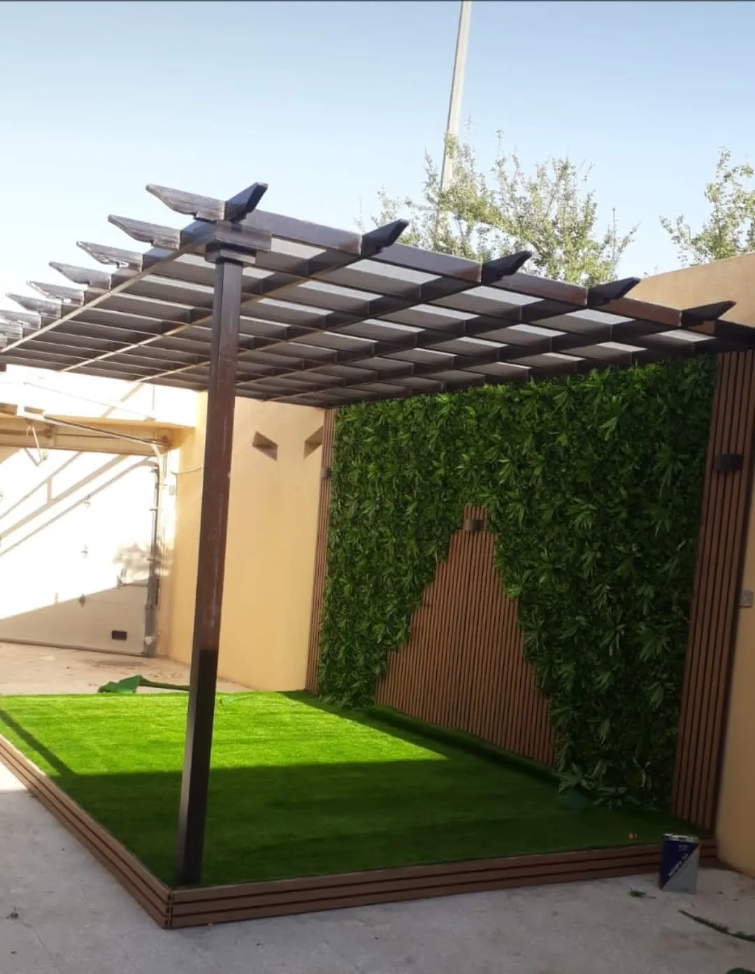 صورة إضافية