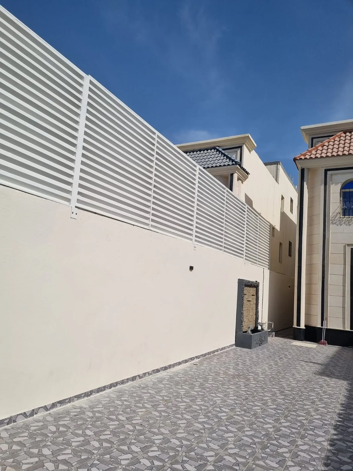 صورة إضافية