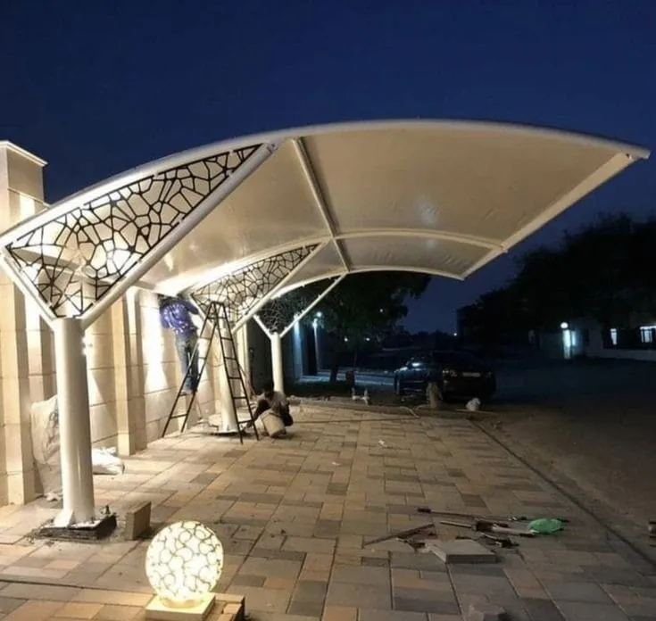 صورة إضافية