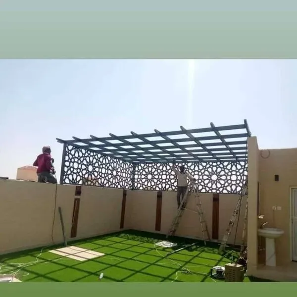 صورة إضافية