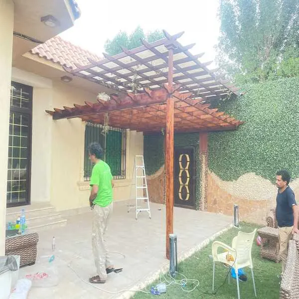 صورة إضافية