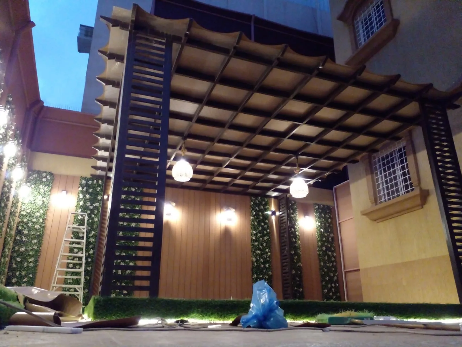 صورة إضافية