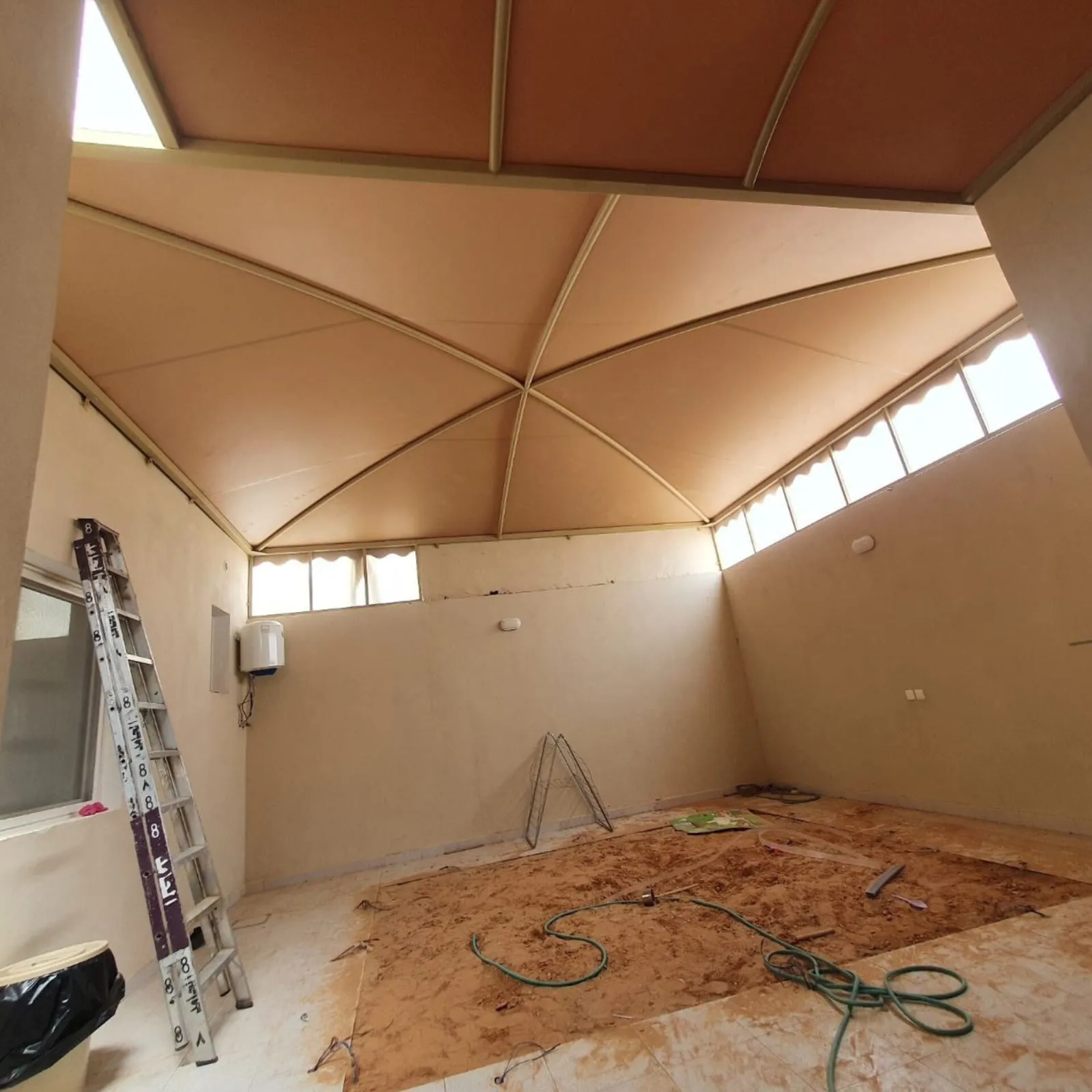 صورة إضافية