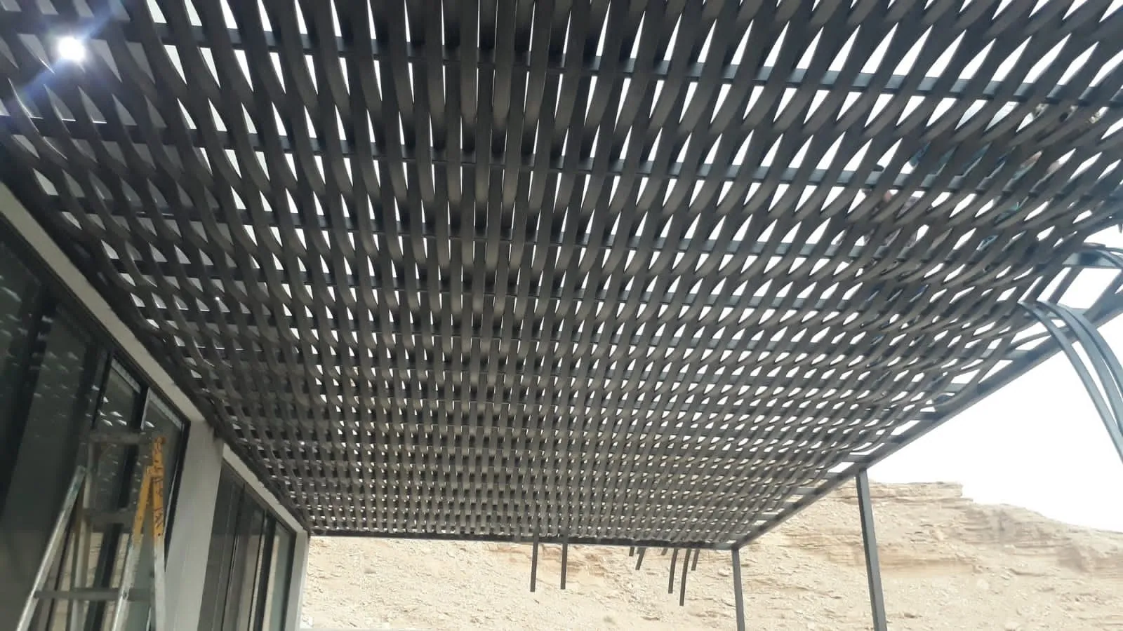 صورة إضافية