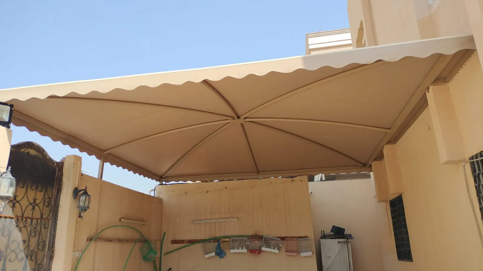 صورة إضافية