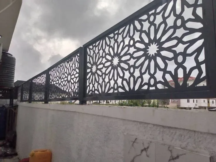 صورة إضافية