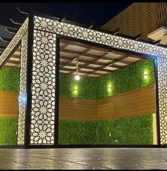 صورة إضافية