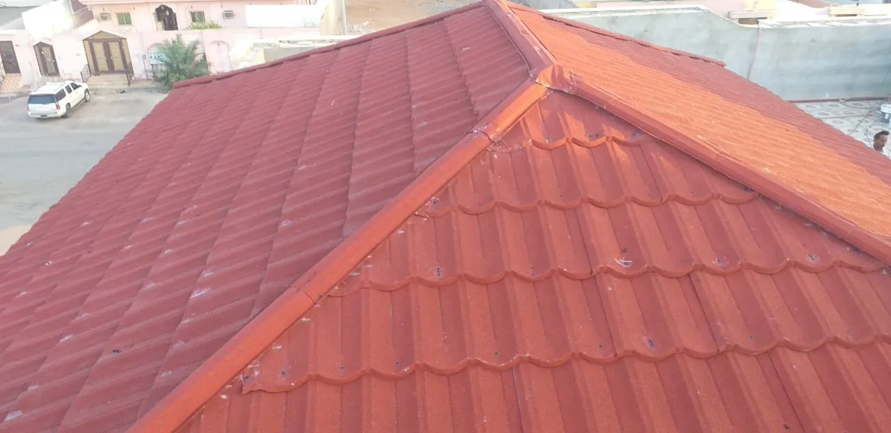 صورة إضافية