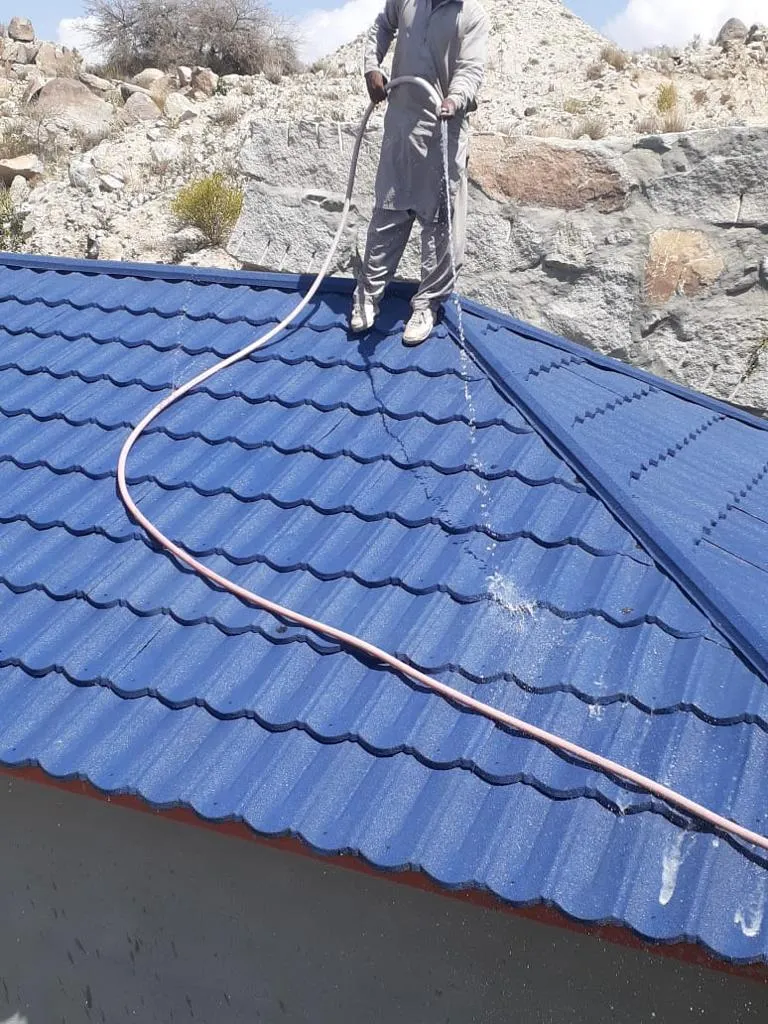 صورة إضافية