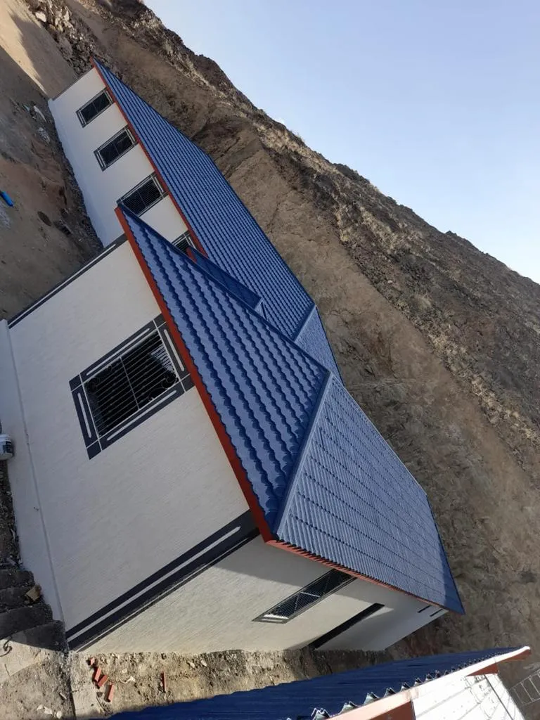 صورة إضافية