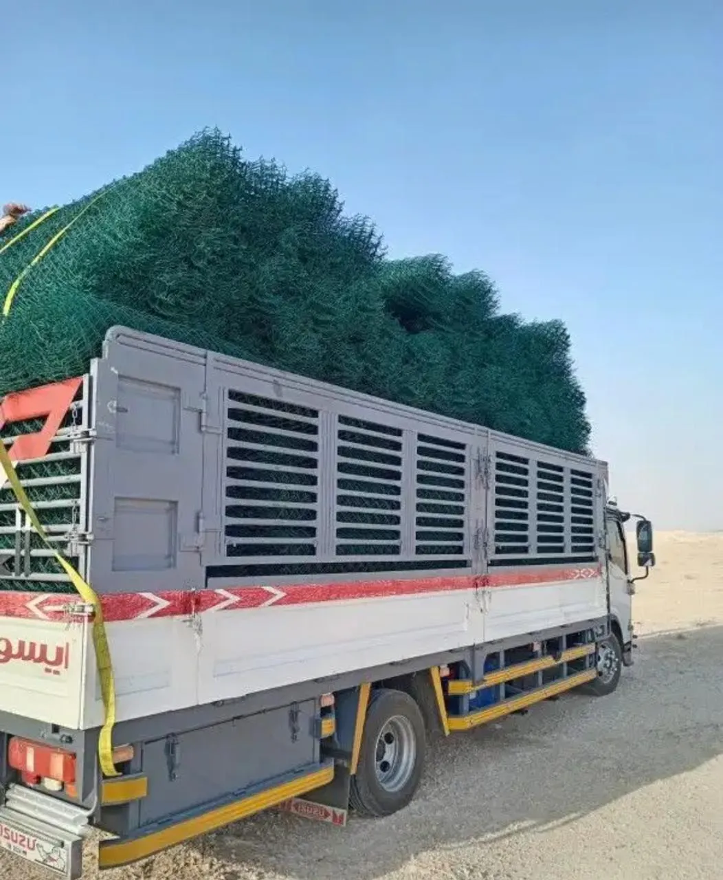 صورة إضافية