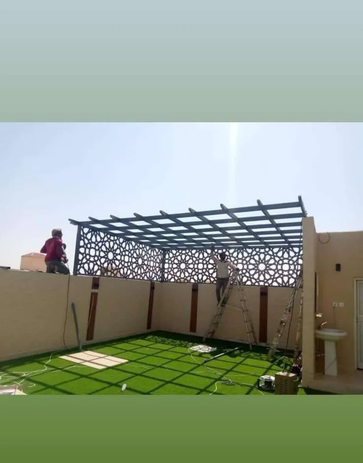 صورة إضافية