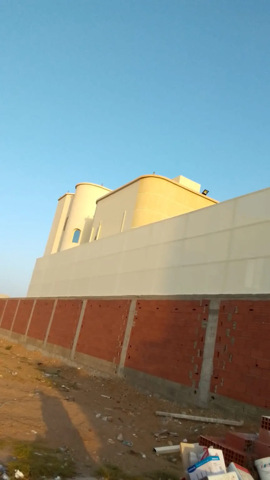 صورة إضافية