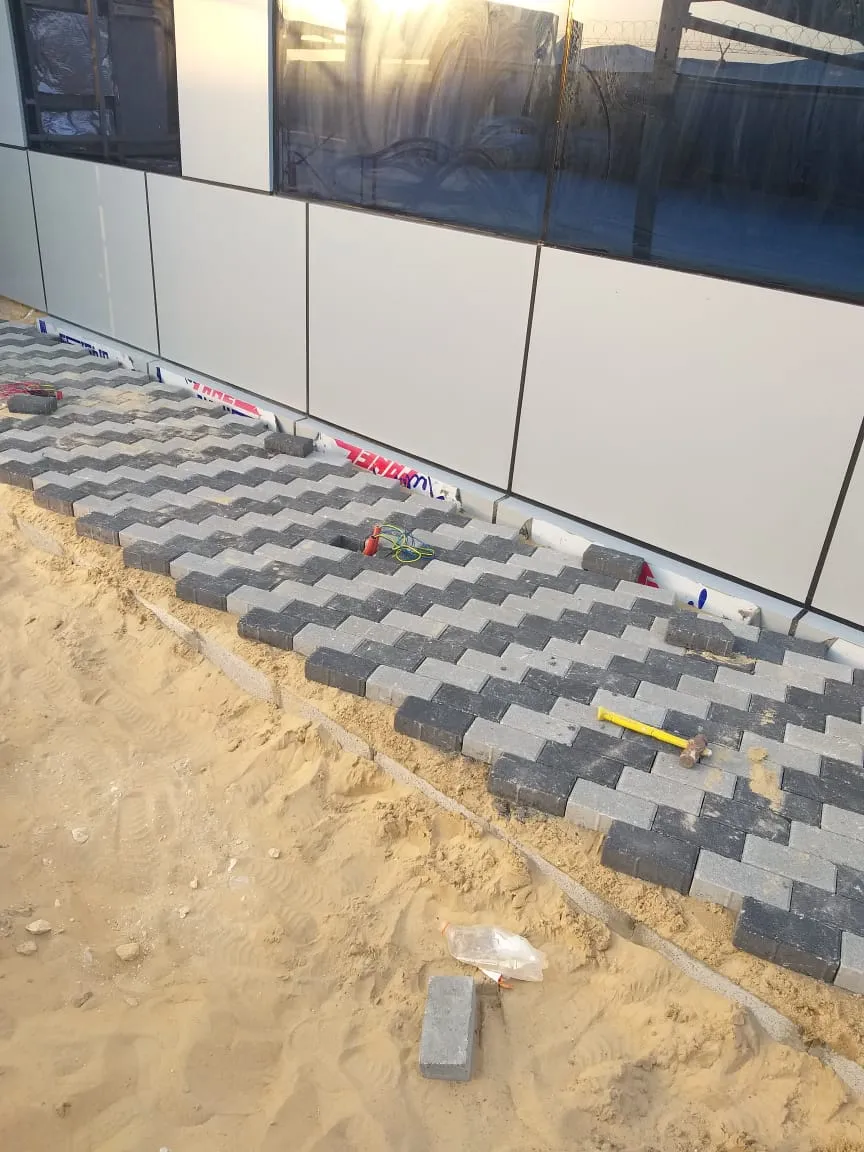 صورة إضافية