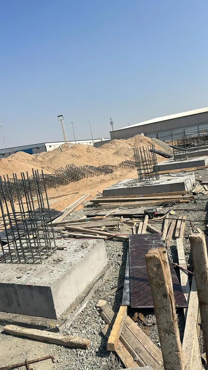 صورة إضافية