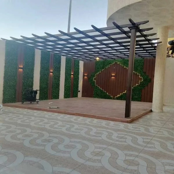 صورة إضافية