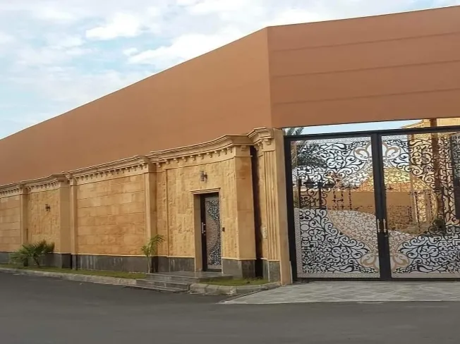 صورة إضافية