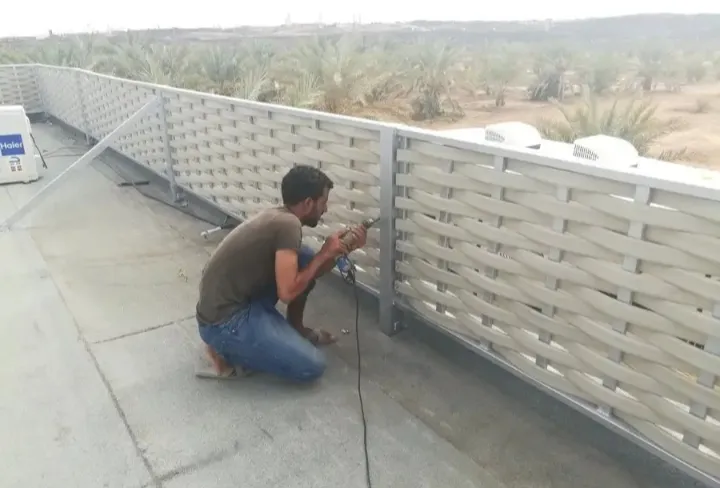 صورة إضافية