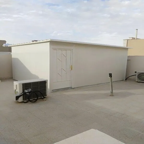 صورة إضافية